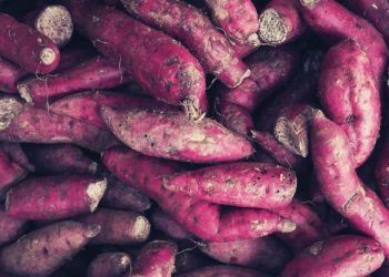 Yam Finance Successfully Thwarts $3.1 Million Governance Attack