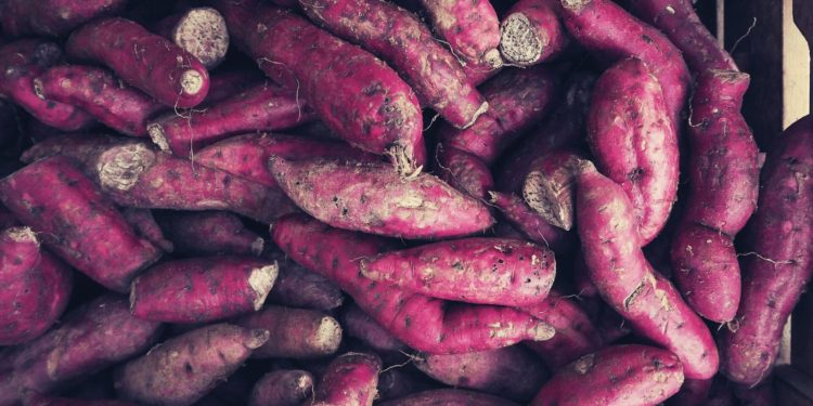 Yam Finance Successfully Thwarts $3.1 Million Governance Attack