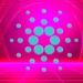Cardano (ADA) Showing ‘Surge Signs’ As Vital Metric Flashes Green: Analytics Firm Santiment