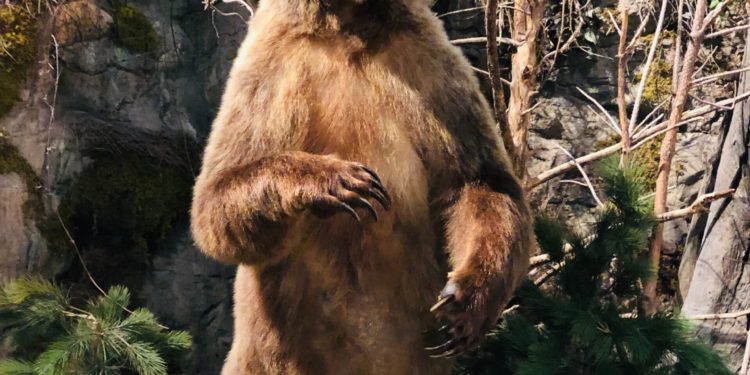 Bitcoin Bearish Signal: Exchange Netflows Spike Up