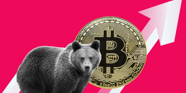 Leading Crypto Exchanges See Negative Funding Rates, Have The Bears Taken Over?
