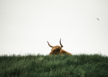 Why Hidden Bitcoin Bulls Could Be Ready To Charge