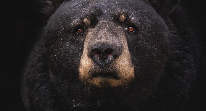 Summary Of The Contagion Event That Brought On The Bear Market