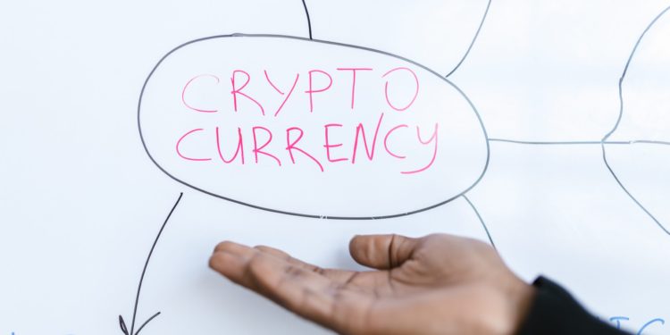 Expert Tells Investors To Be Careful In The Cryptocurrency Rally, Why’s That?