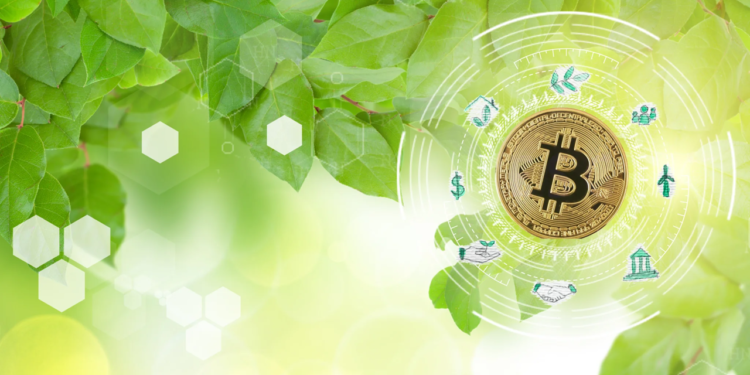 Interview with Timothy Wong, Head of Impact Lab at AAX