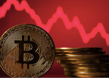 Bitcoin Whales Turn Bearish?, What’s In Store For The Weekend