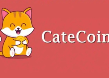 Meme Coin CateCoin Silently Balloons Over 250%