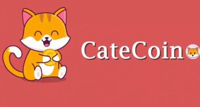 Meme Coin CateCoin Silently Balloons Over 250%