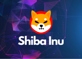SHIB On Fire – And A Bull Run Could Be Around The Corner – Here’s Why