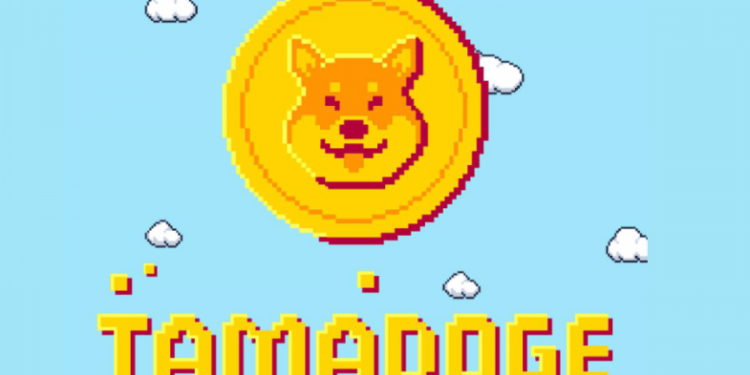 Tamadoge Makes Noise – Is TAMA A Better Alternative To SOL?