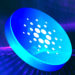 Analyst Says Cardano Could Be Ready To Outperform Ethereum As ‘Reliable’ Indicator Flashes Bitcoin Bottom Signal