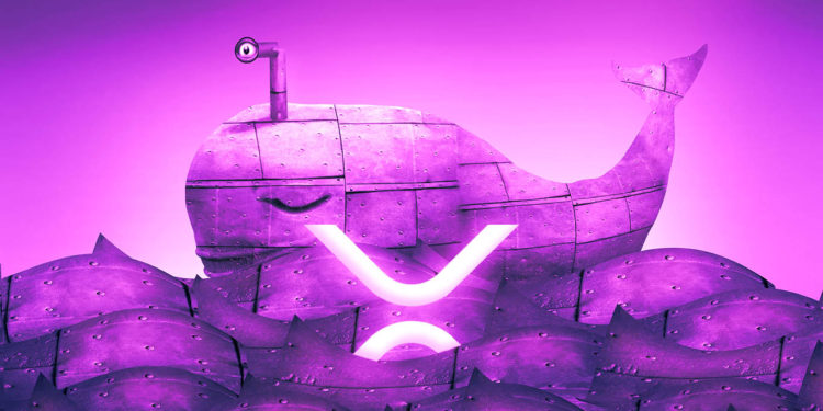 XRP Network Abruptly Comes to Life As Number of Whale Transactions Surges to Three-Month High: Analytics Firm