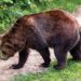 Bitcoin Bearish Signal: Miners Continue To Dump