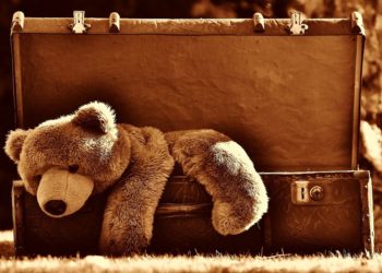 The Bear Market Correction Could Be Over, According To ARK. Reasoning Inside