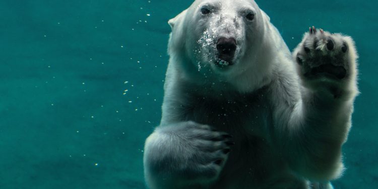 Bitcoin aSOPR Fails Retest Of Historical Bull-Bear Junction