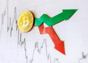 Bitcoin Price Dives Below $20K, Why BTC Is Vulnerable To More Losses