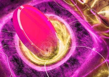 Following Solana Wallet Hack, Founder Anatoly Yakovenko Tells SOL Holders To Get Crypto Out of Mobile Platforms