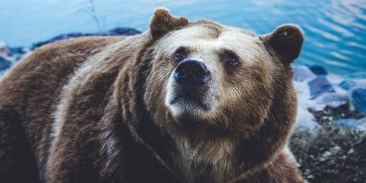 Bitcoin MVRV Triple Ribbon Again Forms Bearish Cross