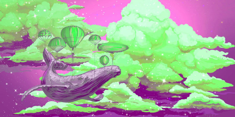 Long-Term Bitcoin Holders Accumulate $64,000,000,000 in BTC in Last 12 Months: Analytics Firm IntoTheBlock