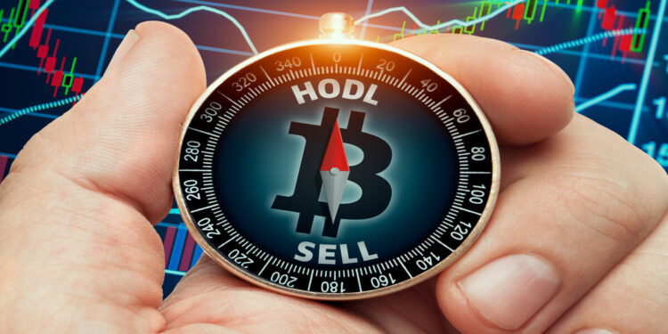 Bitcoin Hodlers Remain Steadfast, Coins Aged over 3 months Hit ATH of 86.3%
