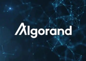 ALGO Price All Go With Nearly 30% Rally In Last 7 Days