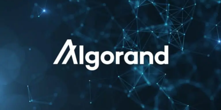 ALGO Price All Go With Nearly 30% Rally In Last 7 Days