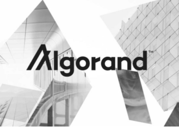 Algorand (ALGO) Posts Double-Digit Price Drops In Last 30 Days