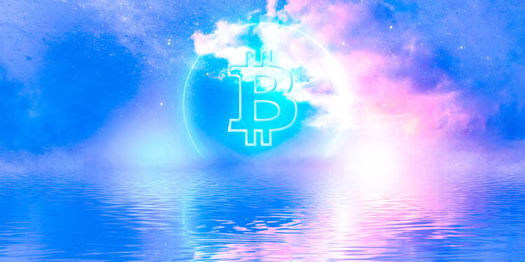 CEO of $4,500,000,000 Crypto Hedge Fund Says Bitcoin Will Go up a Ton, but Other Projects Will Outperform