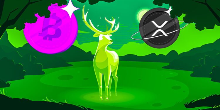 Analytics Firm Says Bitcoin and XRP Flashing Bullish Signals, Predicts Further Downside for One Top-25 Altcoin