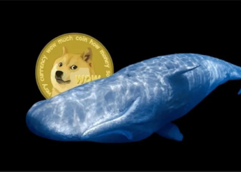 Dogecoin (DOGE) On Top Of Whales Menu