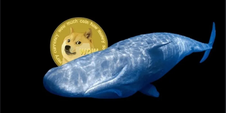 Dogecoin (DOGE) On Top Of Whales Menu