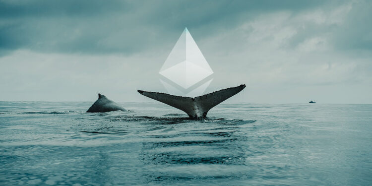 Trade Activity Shows Ethereum Whales Are Seeking Refuge In Stablecoins