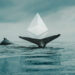 Trade Activity Shows Ethereum Whales Are Seeking Refuge In Stablecoins
