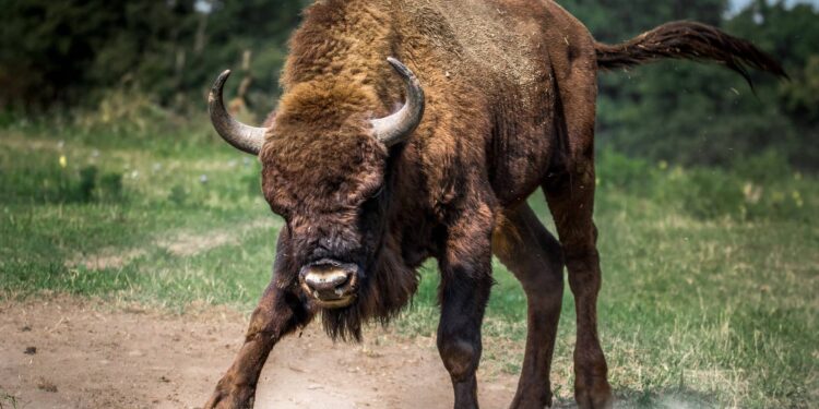 Quant (QNT) Adds In Value Daily When Top Coins Bleeds