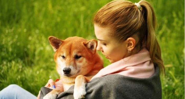 Shiba Inu Adds Nearly 36,000 Holders Since June Despite Crypto Market Turmoil