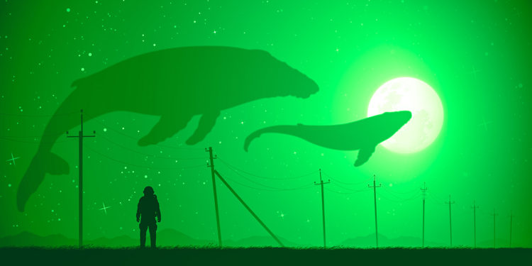 Ethereum Whale Abruptly Moves Over $102,000,000 in ETH – Here’s Where the Crypto Is Heading