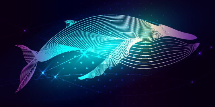 Analytics Firm Santiment Says Crypto Whales Getting ‘Very Active’ on One Ethereum-Based Altcoin