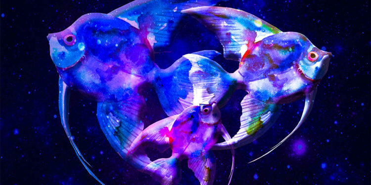 Crypto Analytics Firm Says XRP Whales Are in Massive Accumulation Mode As the Top Altcoin Outperforms Bitcoin