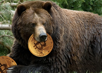 Bitcoin (BTC) Price Needs To Hold $18,000 At All Means, Why So?
