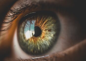 Sam Bankman-Fried Eyes On Bidding For Celsius Assets