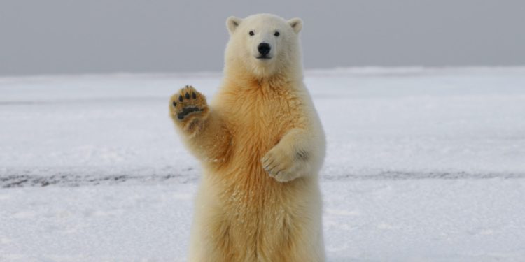 Why Extreme Fear Is Back In Crypto In A Big Way