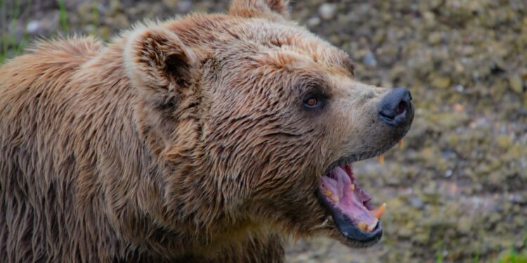 Bitcoin aSOPR Profit-Loss Junction Continues To Act As Resistance