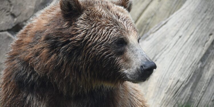 The Year Extreme Fear Took Over The Crypto Market