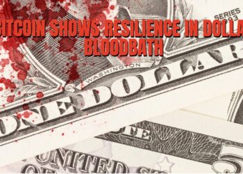 Bitcoin Price Shows Resilience In Dollar-Driven Bloodbath