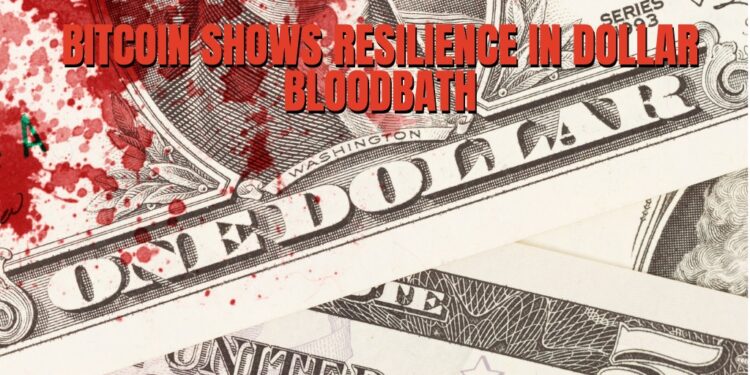 Bitcoin Price Shows Resilience In Dollar-Driven Bloodbath