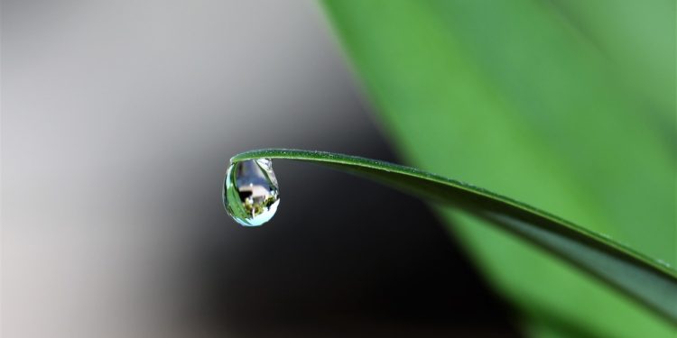 Crypto Plummets As CPI Worsens, Any Chance For Reversal?