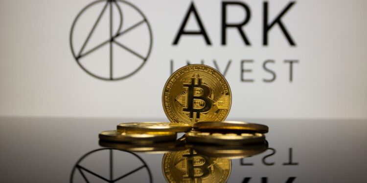 Ark Invest’s Wood Turned $100,000 Investment in Bitcoin to $7M