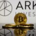 Ark Invest’s Wood Turned $100,000 Investment in Bitcoin to $7M