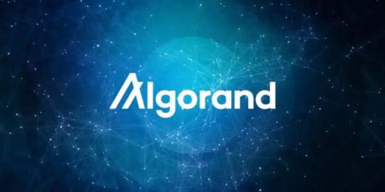 Algorand Social Activity Reaches 13 Million