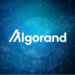 Algorand Social Activity Reaches 13 Million